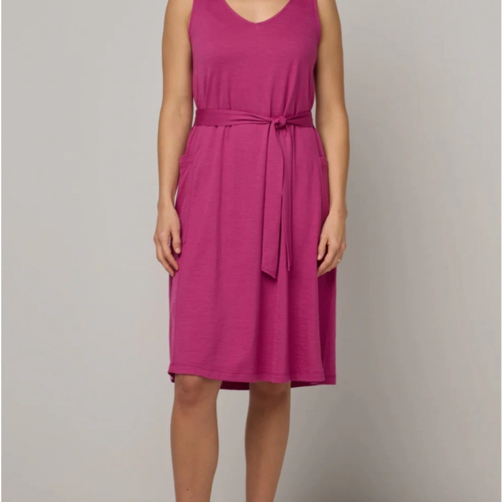 Icebreaker brand, dress. Size L. Barely worn